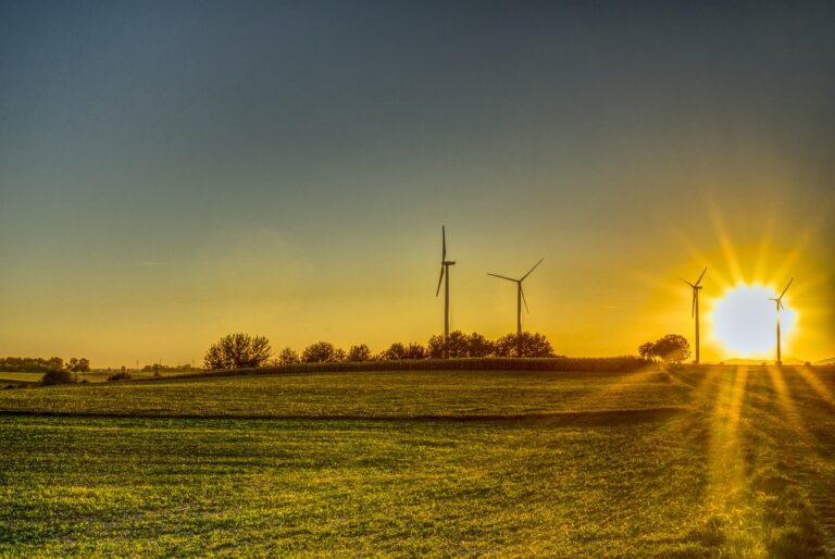 Grüne im Kreistag Würzburg: Endlich Umsetzung dringlicher und lange geforderter Klimaschutzmaßnahmen